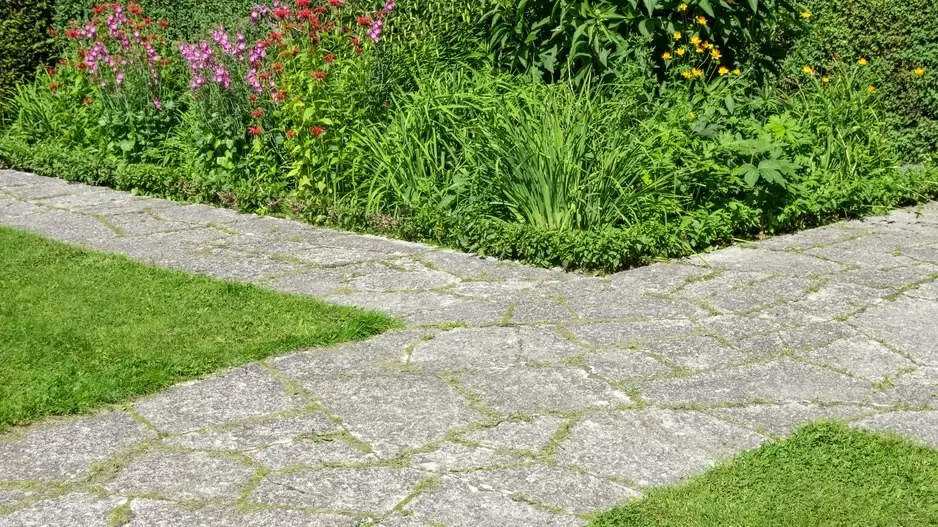 Цветущие дорожки: преображение вашего участка