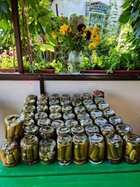 Сладко-кислые медовые огурцы: простой рецепт для заготовок