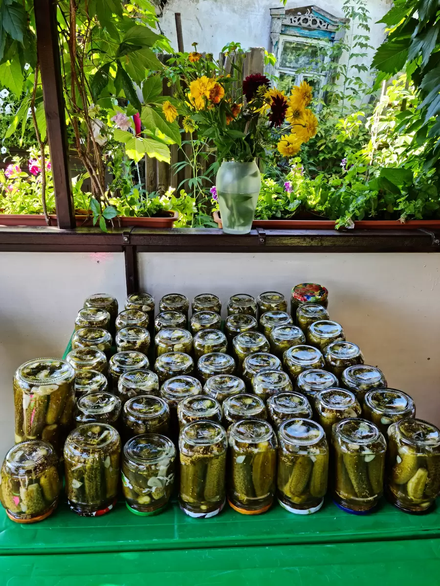 Сладко-кислые медовые огурцы: простой рецепт для заготовок