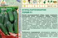Как вырастить огурцы Герой: секреты успешного посева и ухода