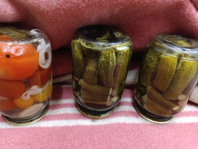 ��������� ���������������: ��� ��������� ������ � �������� �������������