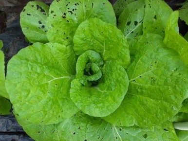 ����������� ������� ������ � ������������� �������