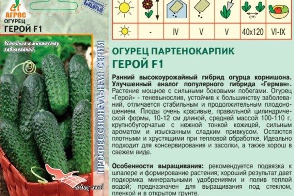 ��� ��������� ������ �����: ������� ��������� ������ � �����