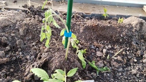 ������������ � �������: �������� ��� �����������