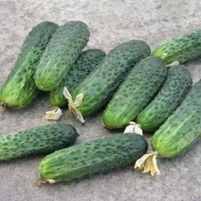 ������ ���������� �������: ��� ����� ����� � ������ ������� � ������� ������