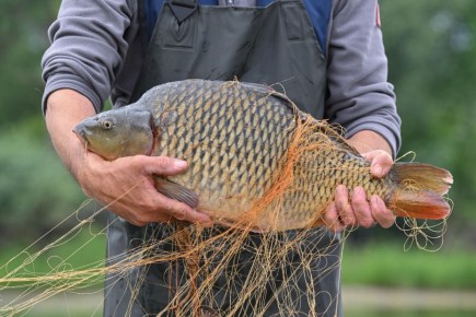 ��� ��������� ����: ������� �������� ���� �� ���������� ����