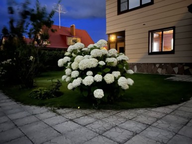 ������ ��������� ��� ����: ���� ���������� ������ � ����������� ����������������