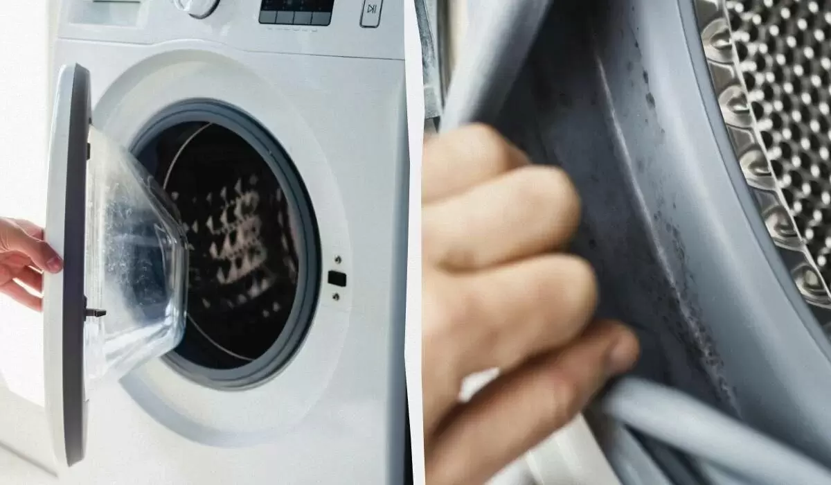 Плесень в стиральной машине: как легко с ней бороться и предотвратить её появление