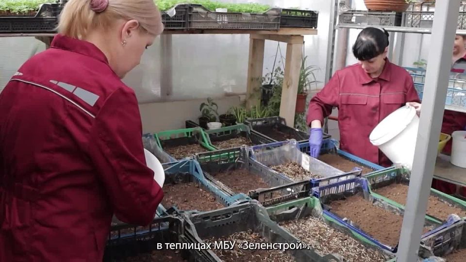 ��������� �������: ������� �������� ����� ��������� ������� ������