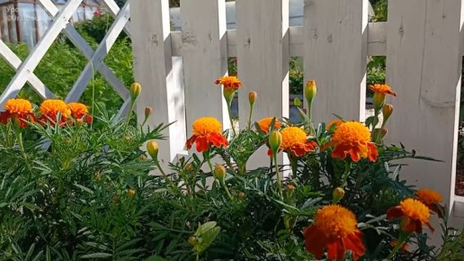 �������������: ��� �� ��������� ������ �� �������