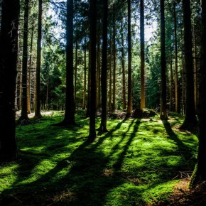 ��� ����� ��������� ������: ������� �������� ������� ����� � ����