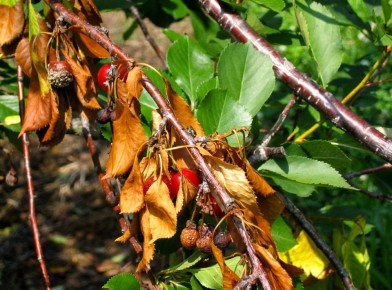 ��� �������� ���������������� ������ ��� ����������� �����