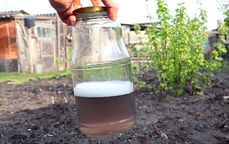 ����������� �������� ��������� ��������� ��� ������� ����