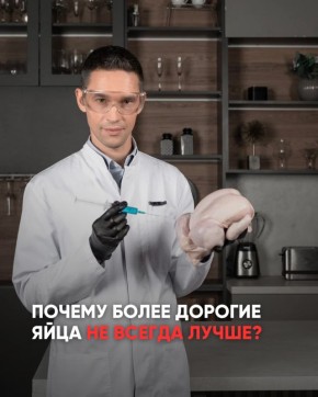 Почему дорогие яйца не всегда лучше?