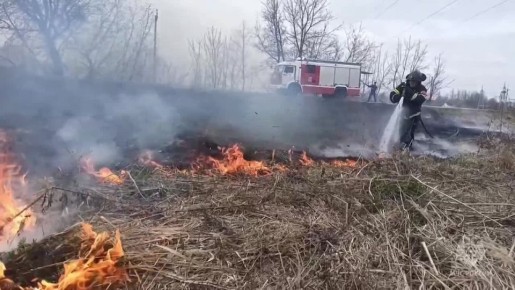 ������ ������������ �� ��������� ����� ����� �����