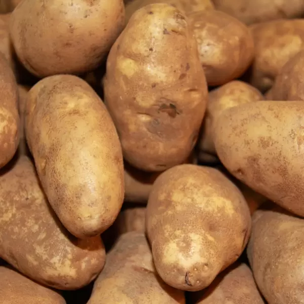 Почему картофель Рассет Бурбанк стал идеальным выбором для картофеля фри
