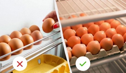 Как правильно хранить яйца: советы по свежести и безопасности