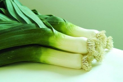 Лук Bandit: спокойное объяснение и практический баланс вкуса и урожайности