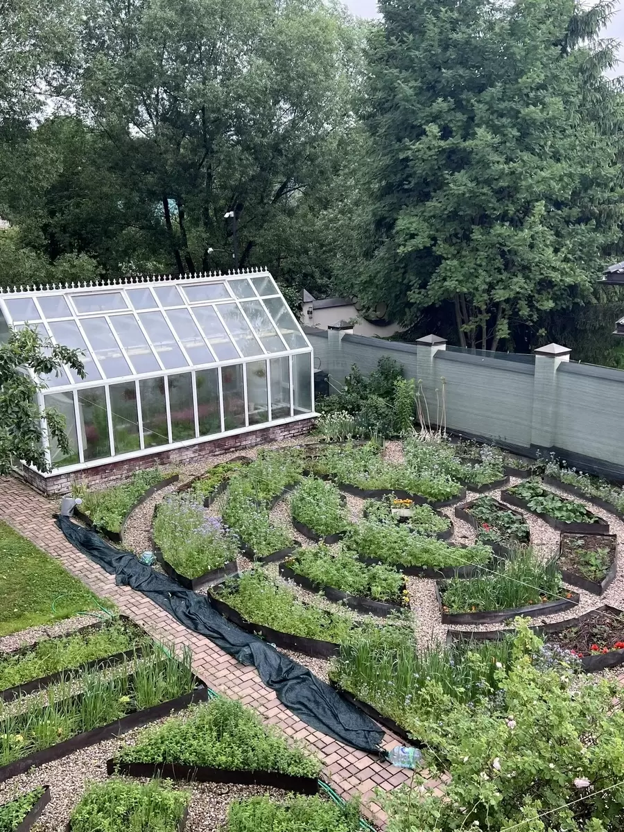 Высокие грядки: как они делают дачное хозяйство комфортнее и приятнее?