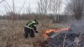 В Смоленской области за сутки зафиксировали более 30 палов травы