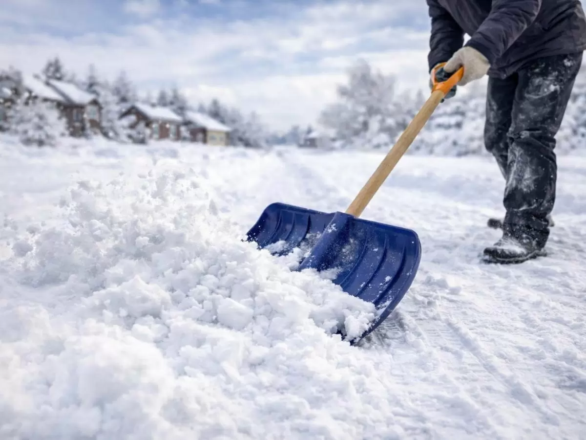 Как зимний снег влияет на здоровье вашего газона