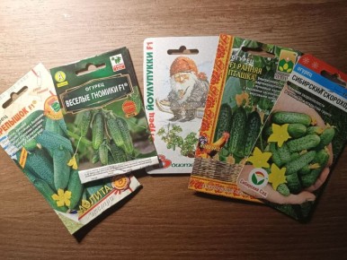 ������-������ ������: ��� �������� ������ ������ � ������� ��� � ���