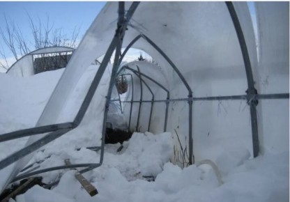 ��� ����������� ������� � ����: ������ ��� ������������ ��� ������