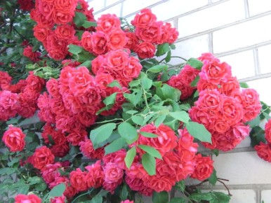 ��� ���������� �� ���������� �� ����� ����� ����� ���������� �� �����