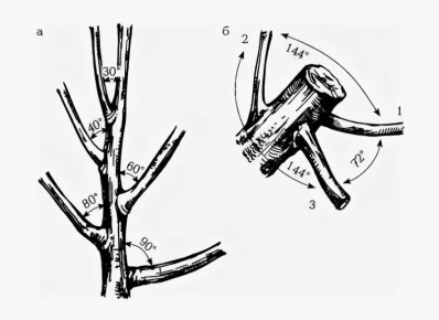 ��� �������� ����� �������� ��������: ������ ��� ��������� �������