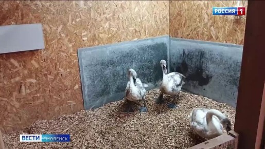 ���������� ���� ������ ���� ����� ��� ������� �������� ����� ������������� �� ����