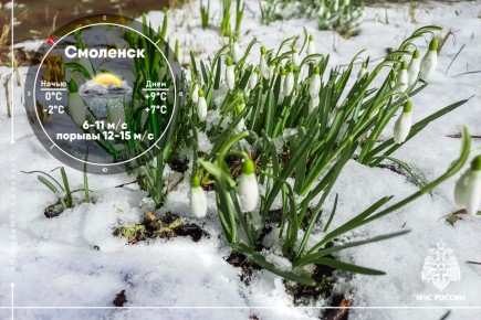 ����������� ���������� ������������