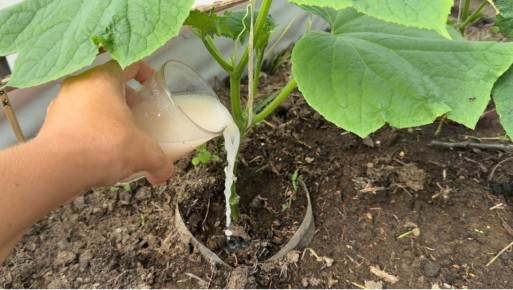 ��� ��������� ������ � �������� ������: ������� ��������� ������