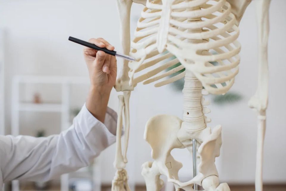 ������������ ���������� ��������� ���� ��� ���������� ������