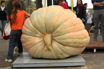 ���������� ����� � ��� ��� ��������� ����� ��������