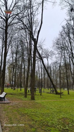 ���������� ����� � ��� ������ �����������