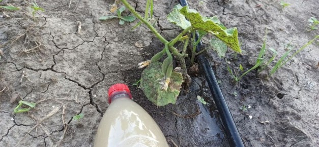 ��� �������� ���� ������ �� ������� ��������� �����: ���� ����������� �������