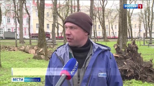 � ���������� ������� ���������� ����������� ����������� ��������