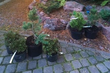 ������� �������: ��� �������� �� ������ � ���� ����?