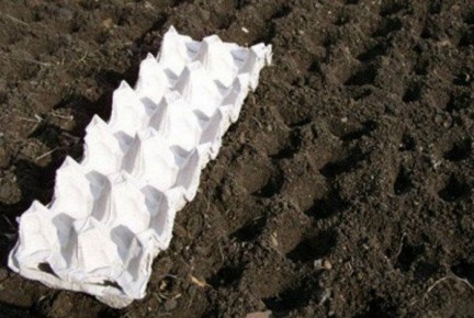 ��� ������� �����: ����������� �������, ������� �������� ������ �� ����