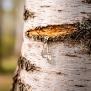 ����� � �������� ����������: ��� ���������� ������ ������