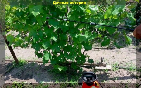 ������ � �������������: ������ ��������� ������ �������� � ����������