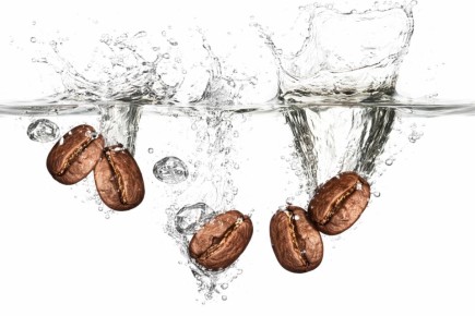 ���� ��� ����: ���� � �������� �������