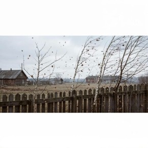 ���������� ���������� ��������������� ���������������� ������������ ������� ����� ��������