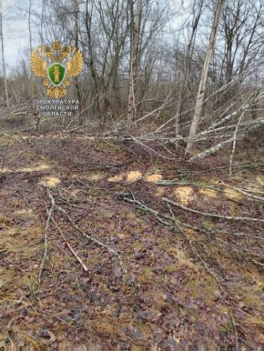 ������� �������� �� ���������� ���� � ���������� ����� ������ ����������