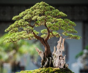 ������� �������� ������� � ������� � ���� �� �������