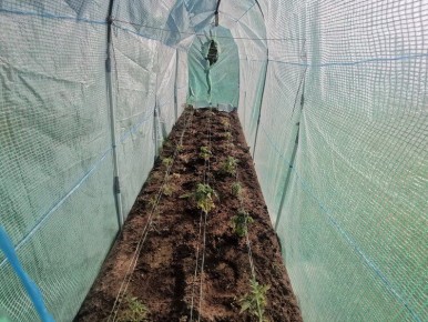 ����� � ��� ���������� ������� � ������� �� ������� ��������� � 2026 ����