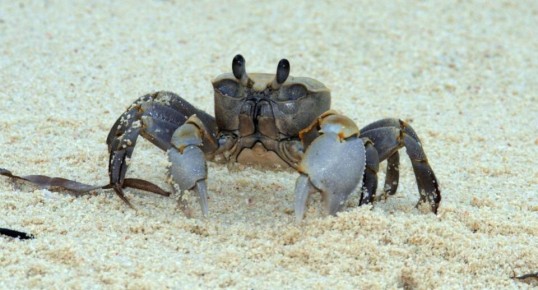 ����� �� �������: ��������� �������� � ��������