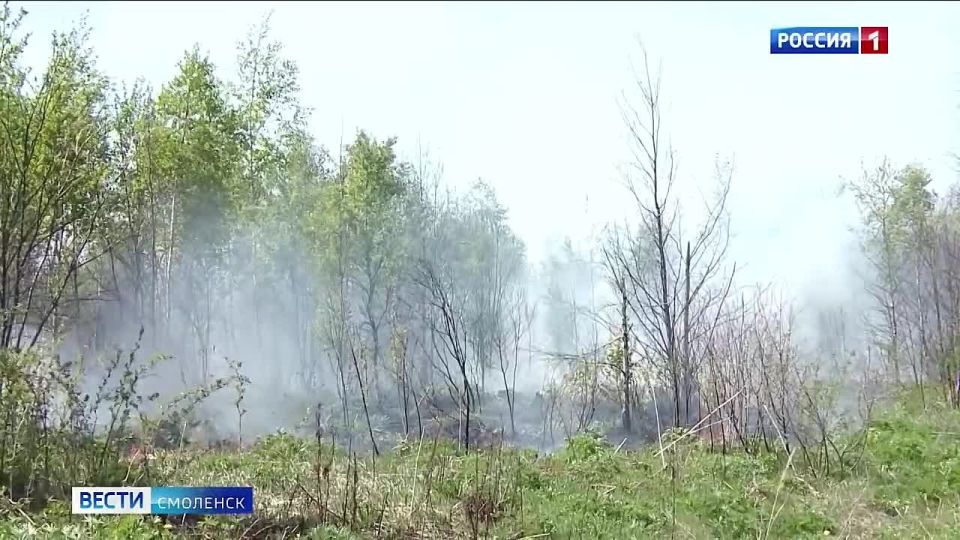 На Смоленщине установился 3-й класс пожарной опасности