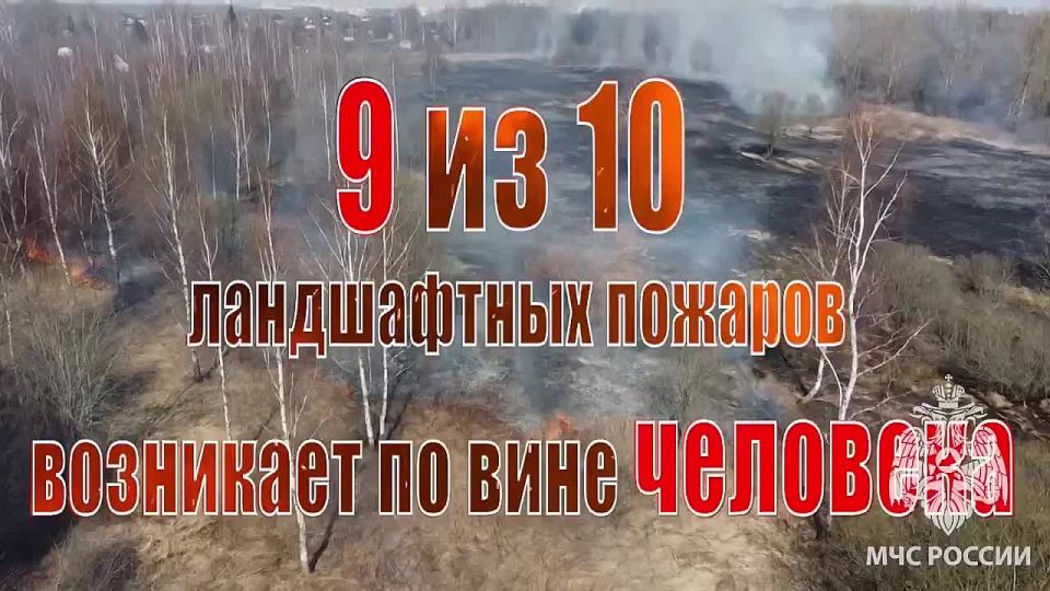 За первые дни мая в Смоленской области зафиксировано более 90 палов травы