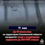 �� ���������� ����������� ���� 11 ��� � �������� ���� ������� �� ���������� ������� ��������� ����� � ���������� ��������� �� 200-700 ������